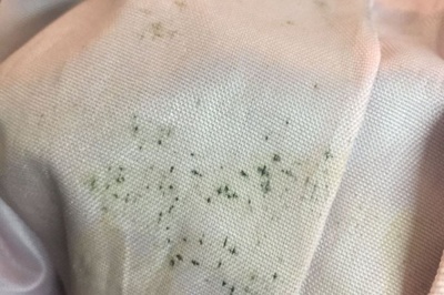 紡織類服裝發霉怎么辦？工廠如何應對以及如何清洗